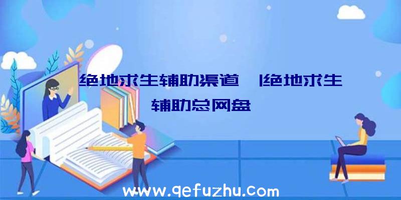 「绝地求生辅助渠道」|绝地求生辅助总网盘